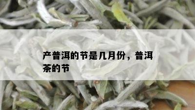 产普洱的节是几月份，普洱茶的节