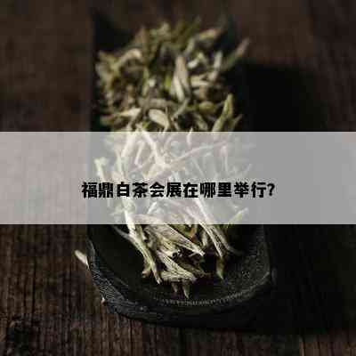 福鼎白茶会展在哪里举行？