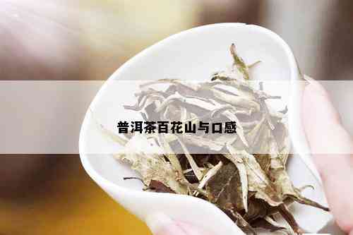 普洱茶百花山与口感