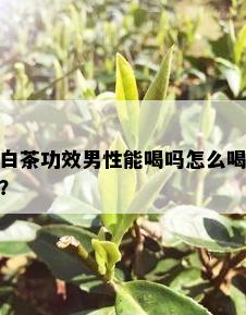 白茶功效男性能喝吗怎么喝？