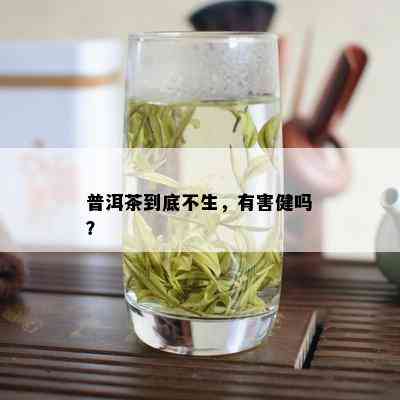 普洱茶到底不生，有害健吗？