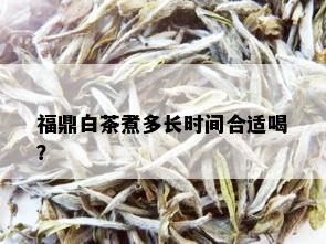 福鼎白茶煮多长时间合适喝？