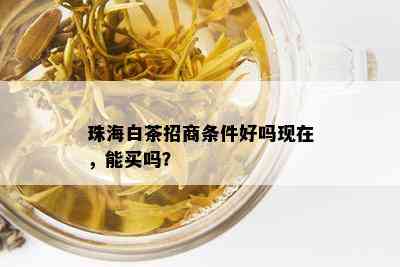 珠海白茶招商条件好吗现在，能买吗？