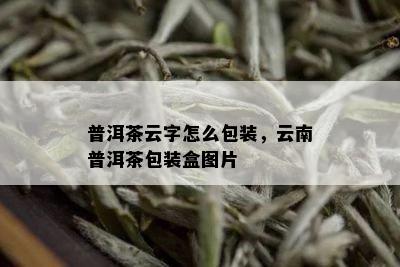 普洱茶云字怎么包装，云南普洱茶包装盒图片