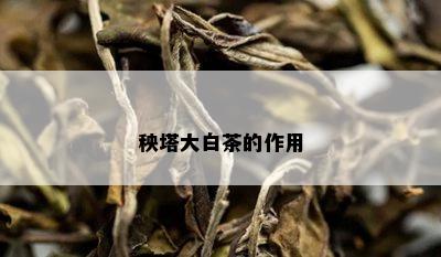 秧塔大白茶的作用