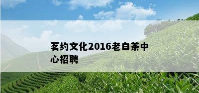 茗约文化2016老白茶中心招聘