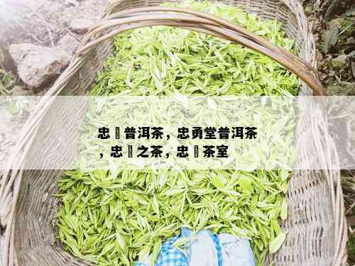 忠義普洱茶，忠勇堂普洱茶，忠義之茶，忠義茶室