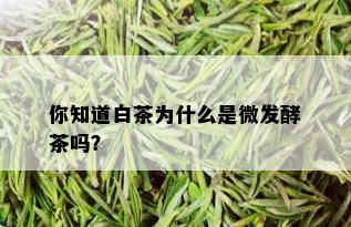 你知道白茶为什么是微发酵茶吗？