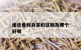 迷迭香和白茶的区别及哪个好喝