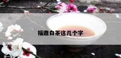 福鼎白茶这几个字