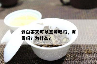 老白茶天可以煮着喝吗，有吗？为什么？