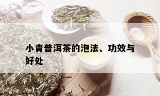 小青普洱茶的泡法、功效与好处