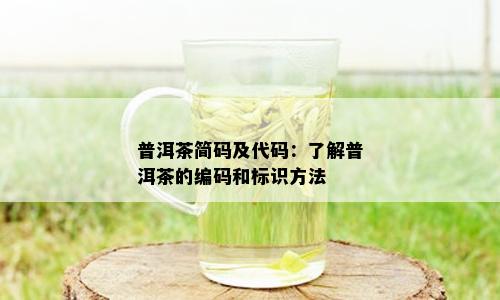 普洱茶简码及代码：了解普洱茶的编码和标识方法