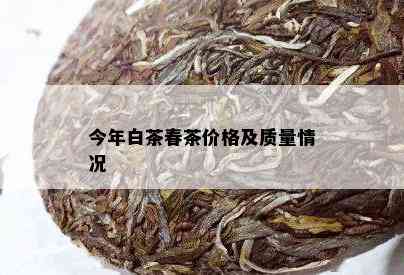 今年白茶春茶价格及质量情况