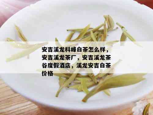 安吉溪龙科峰白茶怎么样，安吉溪龙茶厂，安吉溪龙茶谷度假店，溪龙安吉白茶价格