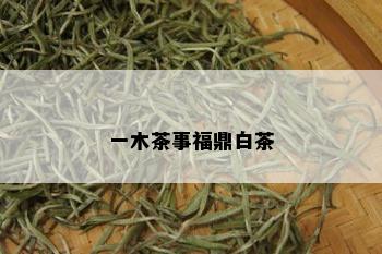 一木茶事福鼎白茶