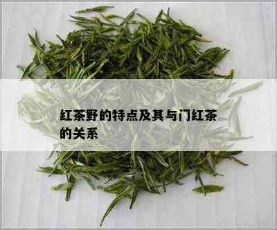 红茶野的特点及其与门红茶的关系