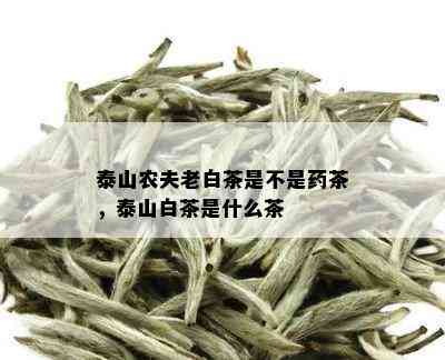 泰山农夫老白茶是不是茶，泰山白茶是什么茶