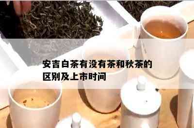 安吉白茶有没有茶和秋茶的区别及上市时间