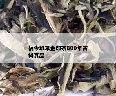 福今班章金印茶800年古树真品