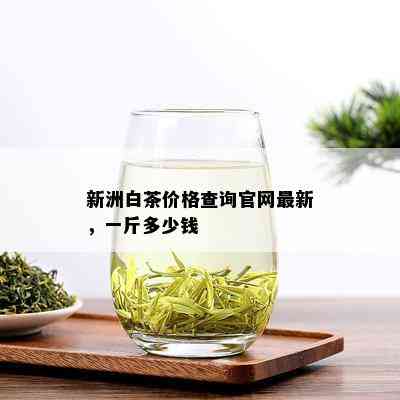 新洲白茶价格查询官网最新，一斤多少钱