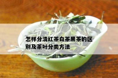 怎样分清红茶白茶黑茶的区别及茶叶分类方法