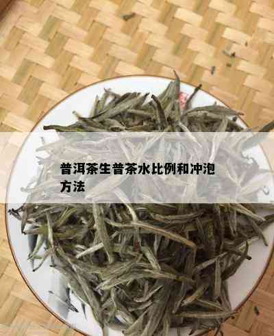 普洱茶生普茶水比例和冲泡方法