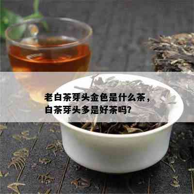 老白茶芽头金色是什么茶，白茶芽头多是好茶吗？