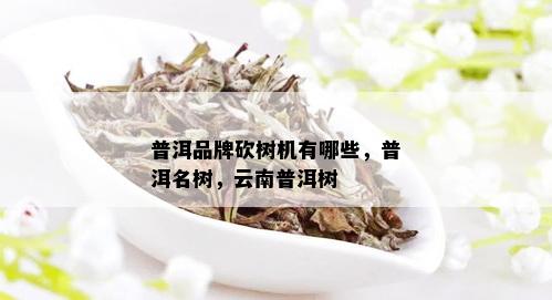 普洱品牌砍树机有哪些，普洱名树，云南普洱树