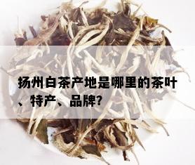 扬州白茶产地是哪里的茶叶、特产、品牌？