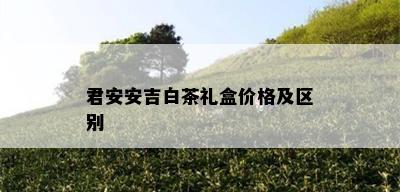 君安安吉白茶礼盒价格及区别