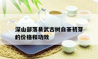 深山部落易武古树白茶初芽的价格和功效