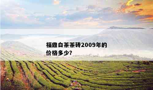 福鼎白茶茶砖2009年的价格多少？