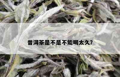 普洱茶是不是不能喝太久？