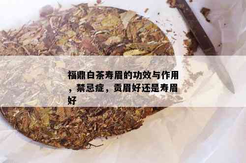 福鼎白茶寿眉的功效与作用，禁忌症，贡眉好还是寿眉好