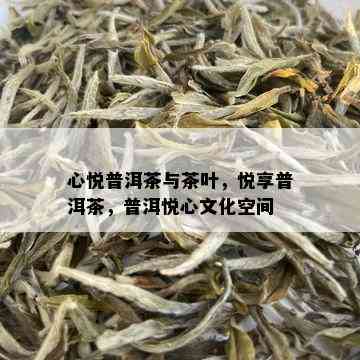 心悦普洱茶与茶叶，悦享普洱茶，普洱悦心文化空间