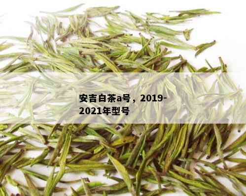 安吉白茶a号，2019-2021年型号