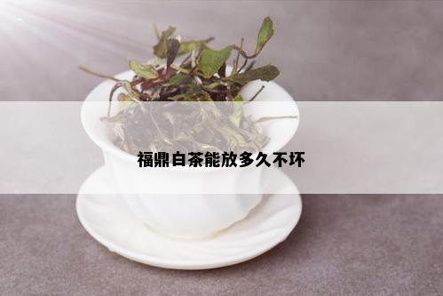 福鼎白茶能放多久不坏