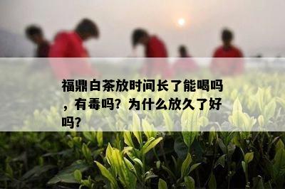 福鼎白茶放时间长了能喝吗，有吗？为什么放久了好吗？