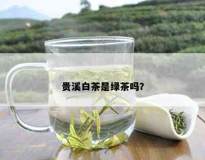 贵溪白茶是绿茶吗？