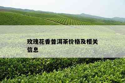 玫瑰花香普洱茶价格及相关信息