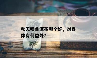 秋天喝普洱茶哪个好，对身体有何益处？