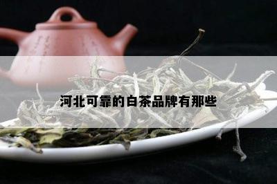 河北可靠的白茶品牌有那些