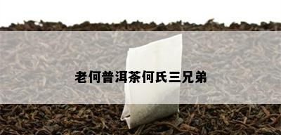 老何普洱茶何氏三兄弟