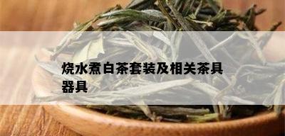 烧水煮白茶套装及相关茶具器具