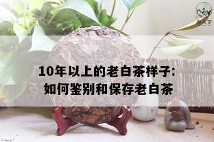 10年以上的老白茶样子: 如何鉴别和保存老白茶