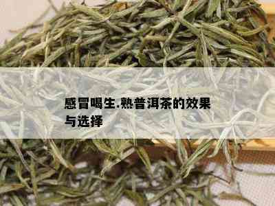 感冒喝生.熟普洱茶的效果与选择