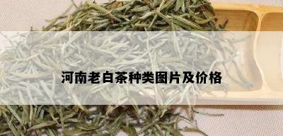 河南老白茶种类图片及价格