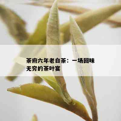 茶府六年老白茶：一场回味无穷的茶叶宴