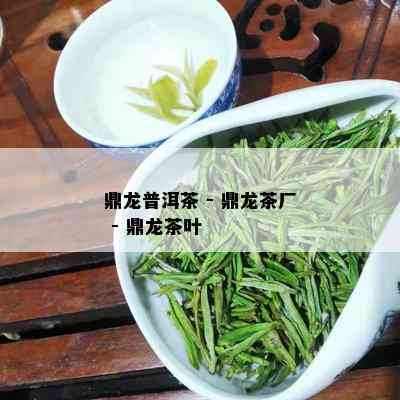 鼎龙普洱茶 - 鼎龙茶厂 - 鼎龙茶叶